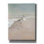 «Shorebirds On The Sand 2» par Danhui Nai, art mural sur toile-421087584