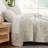 Enchantment Microfiber Quilt Set-281701149-281701138