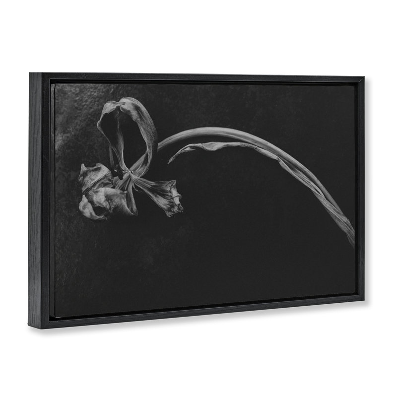 Cadre flottant doux à fleurs flottantes, design par Amy Carroll, Cadre flottant noir de jais, H 17 po x l 25 po