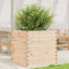 2 Wood Planter-100491989-100491984