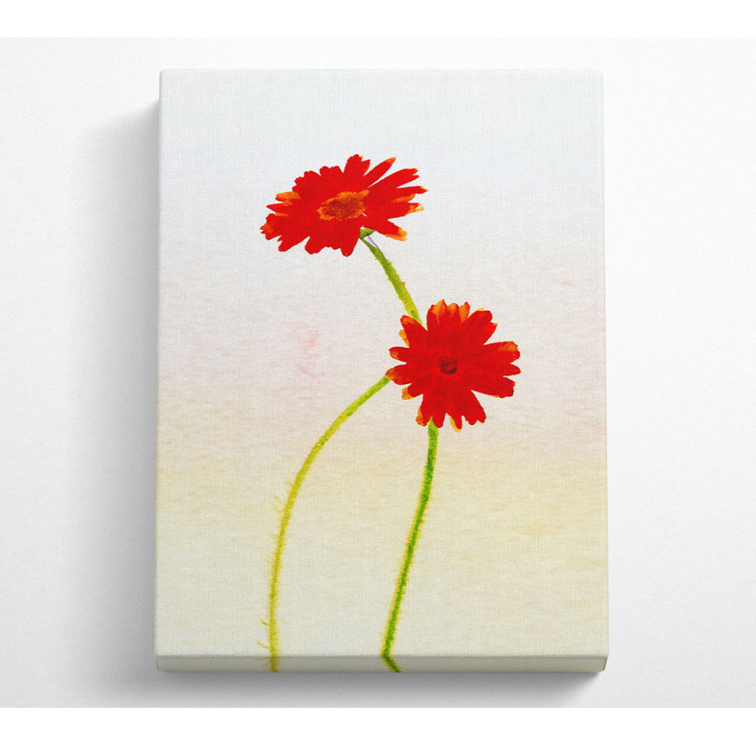 Twin Red Daisies - Kunstdrucke auf Leinwand