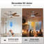 Ventilateurs de plafond modernes de 44 pouces avec lumières et télécommande nickel-1084831797-1084831803-1084831796