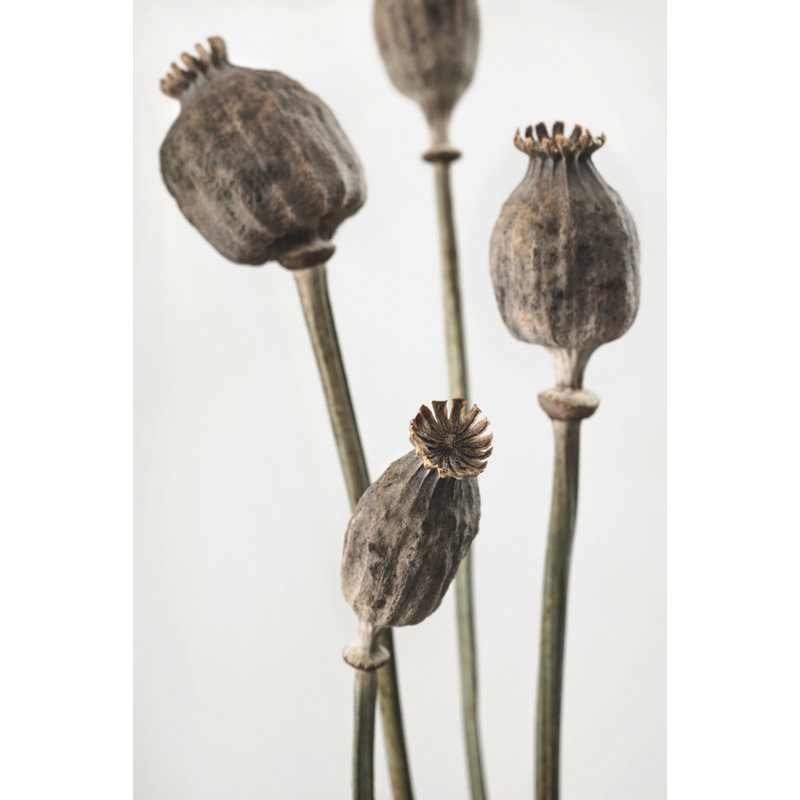 Wrapped Canvas Print, 50.8cm H x 76.2cm W
