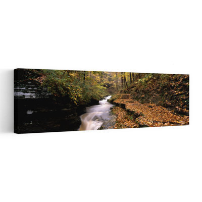 Art mural abstrait forêt d'automne contemporaine, Buttermilk Creek, Ithaca, État de New York, États-Unis