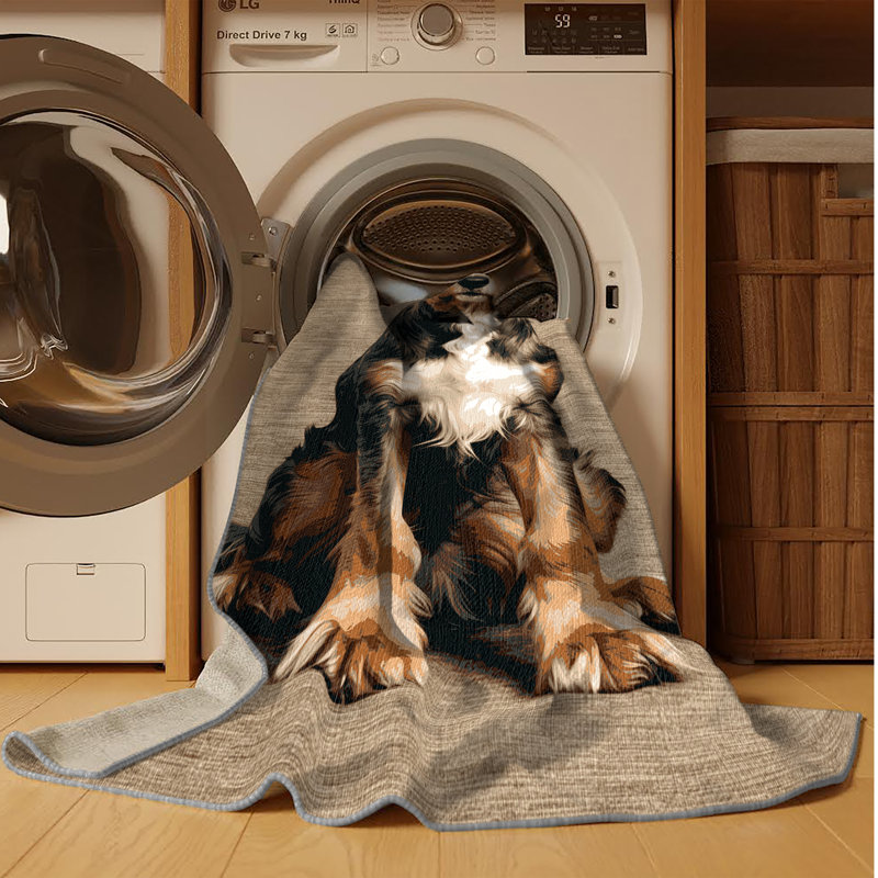  Tapis lavable Griffon, Rectangulaire 2 pi x 3 pi