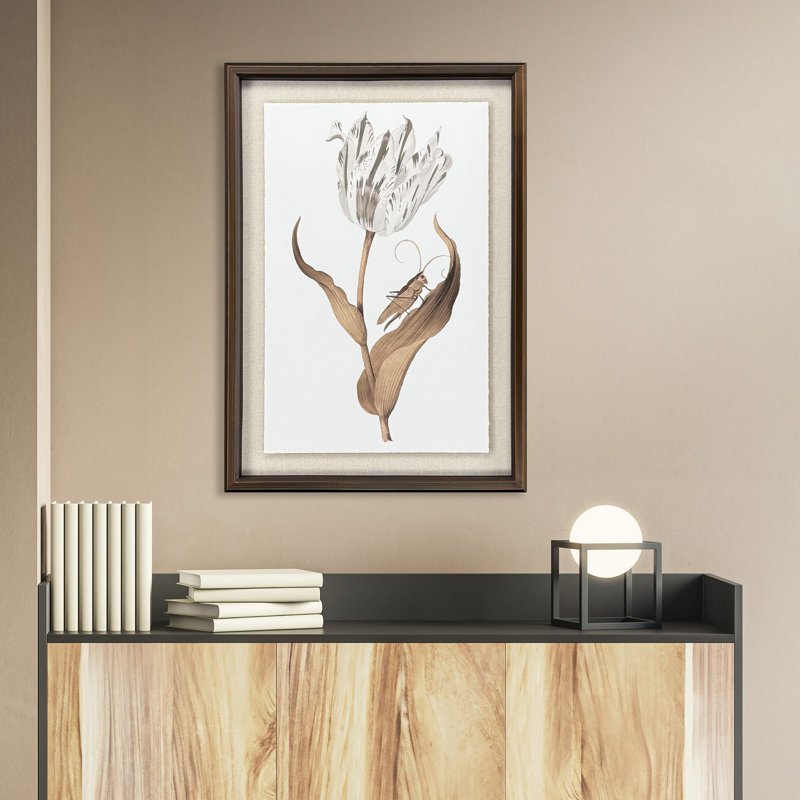 Gilded Tulip - Elegance Print by Marrel Paragon