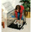 Caisse pour animaux-838702788