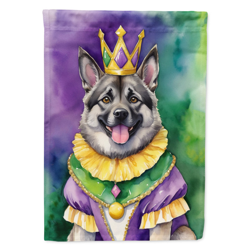 Double Sided 40'' H x 28'' W Polyester Mardi Gras House Flag
