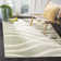 Shelva Performance Abstract Rug