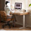 Solid Wood Electric Height-Adjustable Desk