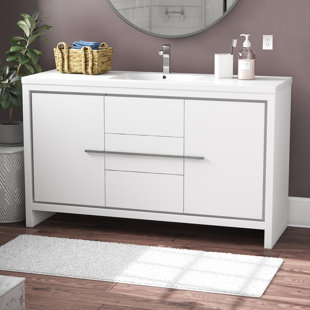 Polychronis 58.75'' Single Bathroom Vanity with Plastic Top