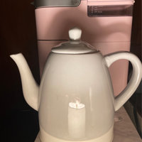 Pinky Up Noelle 1.5 L Ceramic Gooseneck Spout Electric Tea Kettle with  Temperature Control - Cordless Design for Boiling Water Pot, Mint, Rose  Gold – Pinky Up Tea