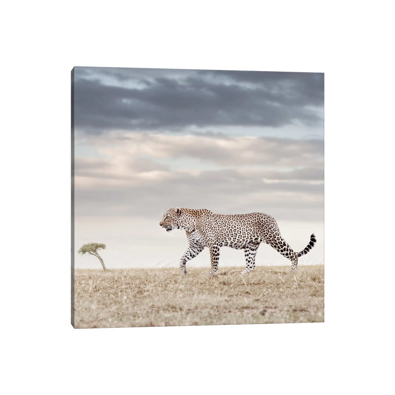 Colour Leopard by Klaus Tiedge - Wrapped Canvas Print, 66.04 cm H x 66.04 cm W x 1.91 cm D