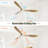 60 Inch Indoor Modern Ceiling Fan With 3 Color Dimmable 6 Speed Remote Control 3 Solid Wood Blade For Living Room