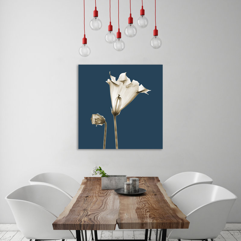 «Blue Luster Gloxinia», impression sur toile tendue, H 24 po x l 24 po