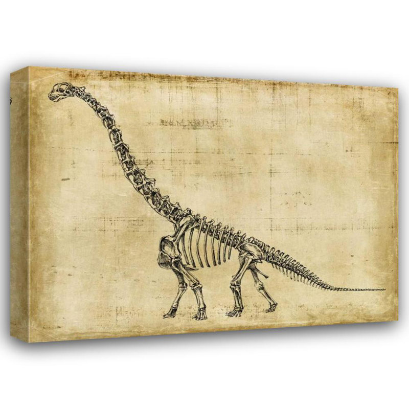 Red Barrel Studio® Harper, Ethan Gallery Wrapped Canvas Art Titled: Brachiosaurus Study, 36" H x 47" W