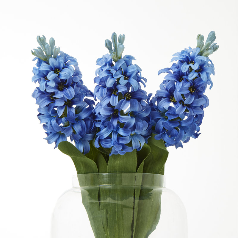 Hyacinth Stem, Blue