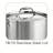 Tramontina Signature Tri-Ply Clad 8 Qt. Stock Pot with Lid