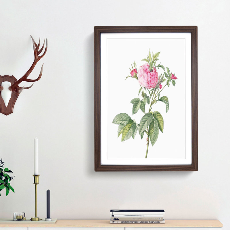 Pink Agatha Roses by Pierre-Joseph Redoute - Picture Frame Painting Print, 65cm H x 48cm W x 2cm D, Walnut Framed