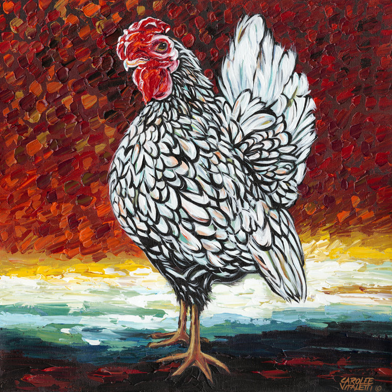 Fancy Chicken II - Wrapped Canvas Print, 51cm H x 51cm W