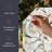 Begonia Window Film 24" x 36"
