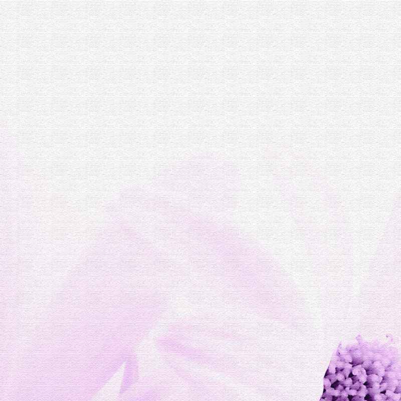 Camomile - Print on Canvas, 100cm H x 150cm W x 2cm D