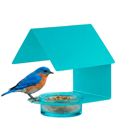 Diederike Wall Mounted Optional Decorative Bird Feeder