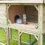 Weather Resistant Rabbit Hutch