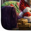 Tapis de vaisselle Wirehaired Pointing Griffon and Santa Claus