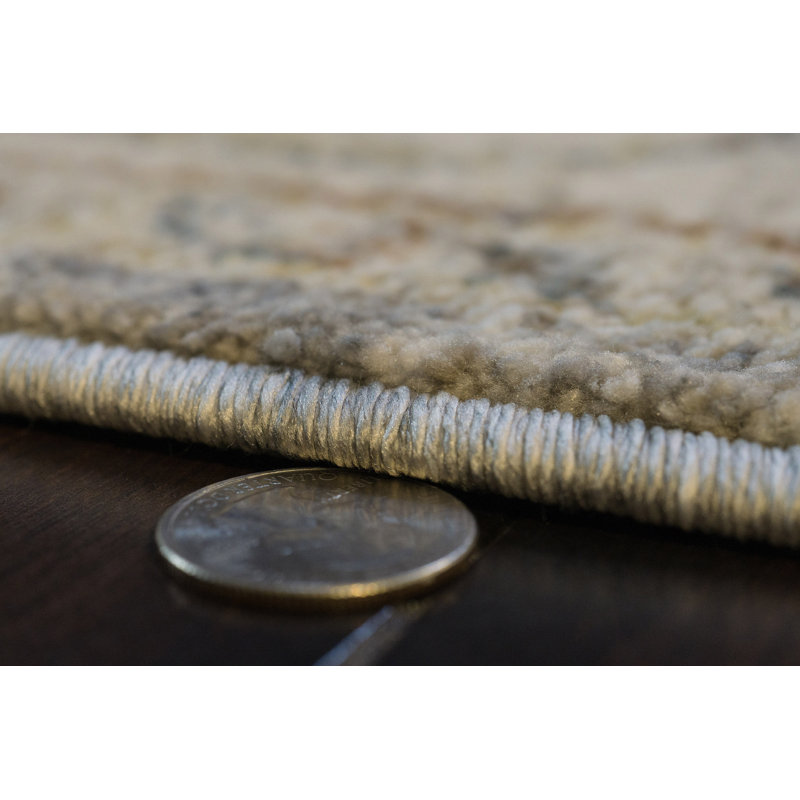 Hillenbrand 18869-919 Gris / crème, Rectangle 5 pi x 7 pi