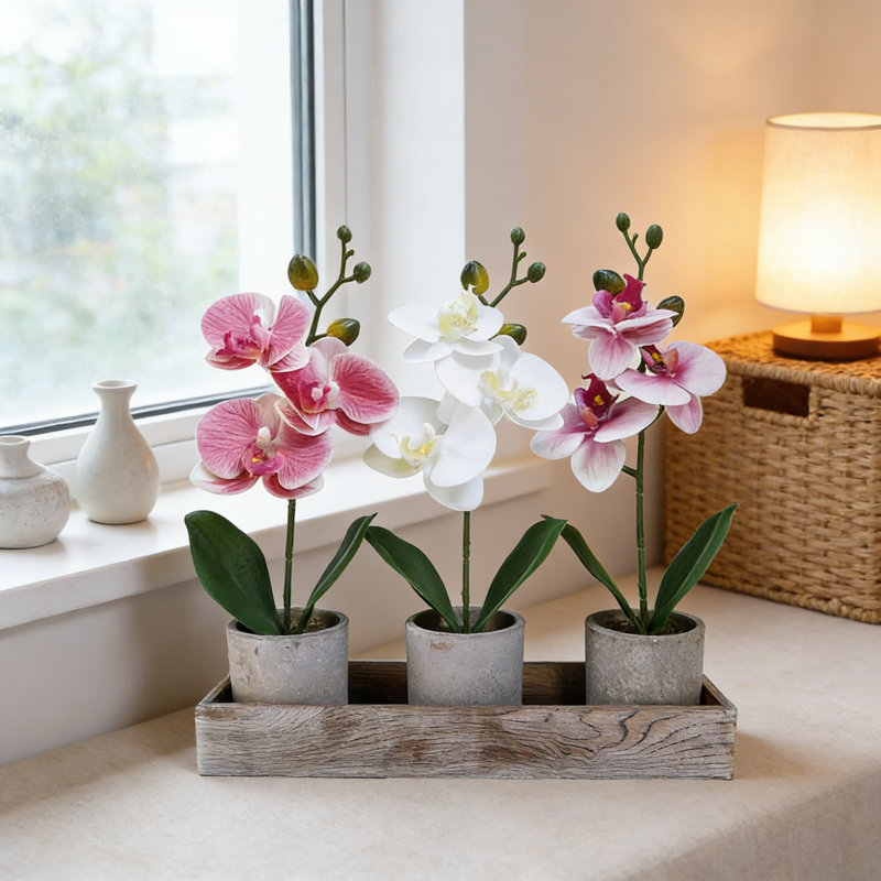 Orchidée artificielle Real Touch, ensemble de 3 pots à fleurs en bois rustique, plantes en faux phalaenopsis pour bureau à domicile