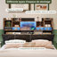 Upholstered Storage Bed-574375989