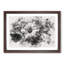 Geranium Flower - Picture Frame Painting Print-56735869-56735870