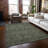 Delphos Washable Floral Indoor / Outdoor Rug-533407897