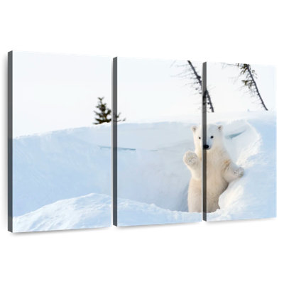Brampt Polar Bear Cub Greeting