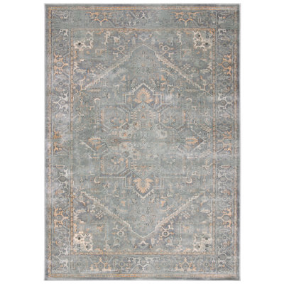 Mizintceva Performance Oriental Rug