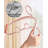 Wave Multi-Function Space-Saving Clothes Hanger-698666512