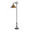 Loon Task Floor Lamp