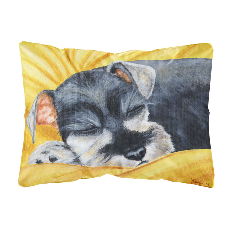  Coussin intérieur / extérieur Snoozing Schnauzer