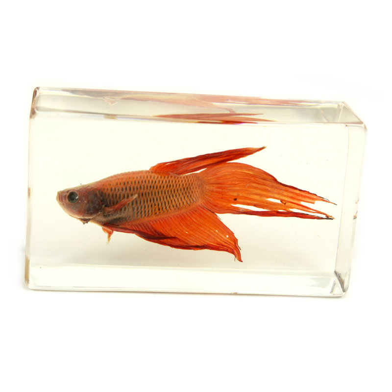 Pickard Animals Figurines & Sculptures