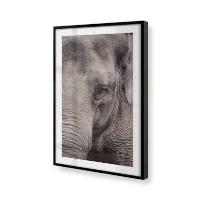 «Wise Gaze Print», dans un cadre,