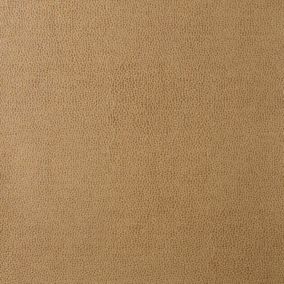 Sparta Design Fabric
