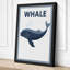 Whale and Label Minimalist - Wrapped Canvas-1805078675-1805078697