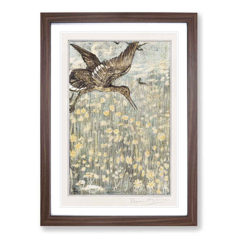 Tureluur Bird by Theo Van Hoytema - Picture Frame Painting, 65cm H x 48cm W x 2cm D, Walnut