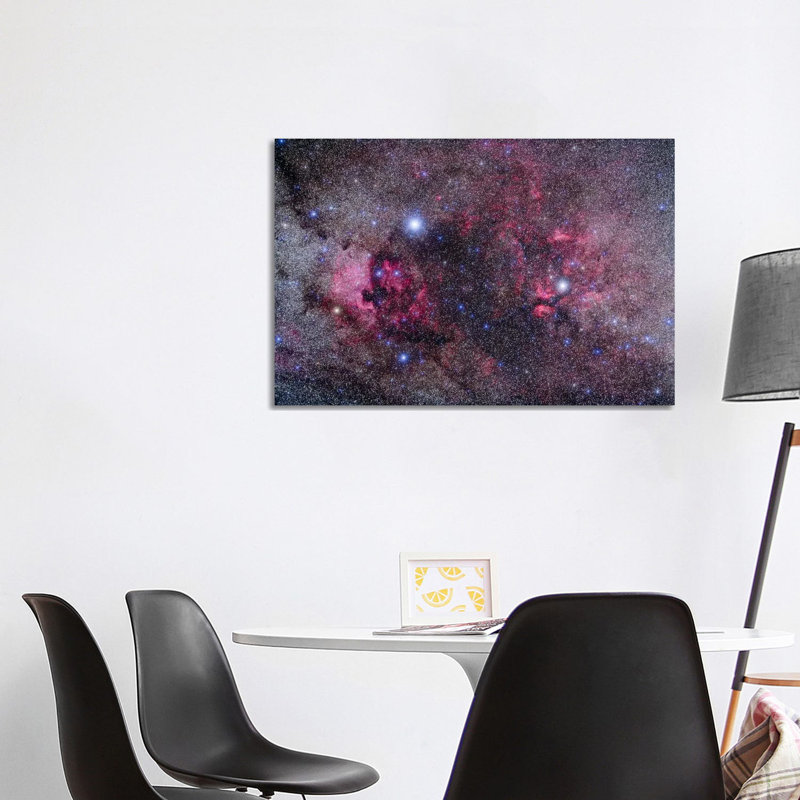Nebulosity In Cygnus by Alan Dyer - Wrapped Canvas Print, 101.6 cm H x 66.04 cm W x 3.175 cm D