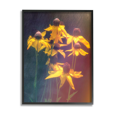 Az-508-Framed " Black-Eyed Susan " by Daniel Sproul