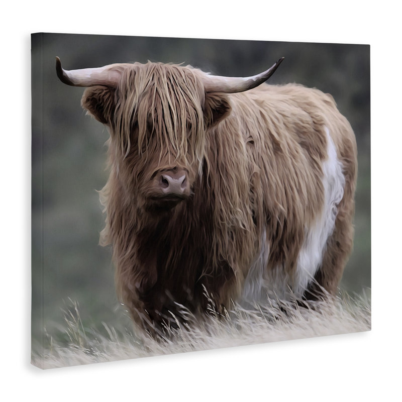 «Wandering Harry Highland», toile par Marcus Prime, H 30 po x l 40 po