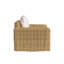 Playa Outdoor Lounge Chair