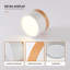 Flush Mount-1159779754