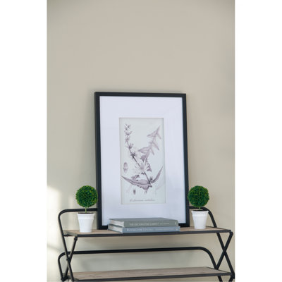 Set of 4 Botanical Wall Art Prints, Home Decor for Living Room, Dining Room, Bedroom, Hallway, 20" x 28"